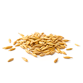 hydrolized-wheat-protein