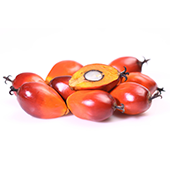 palm-oil