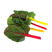 swiss-chard